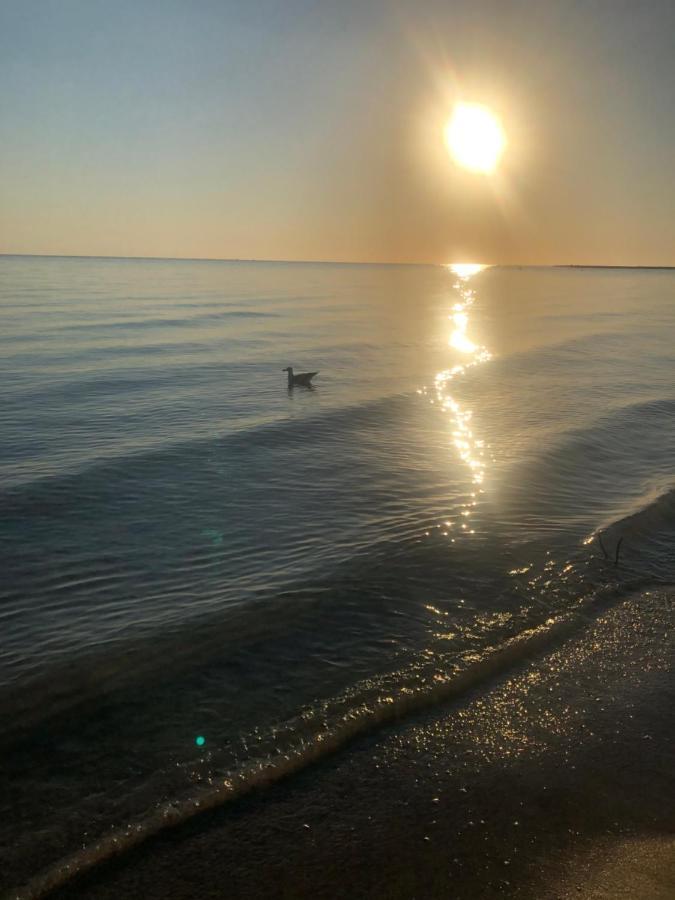 Primera Linea De Playa A 1Km Del Puerto De Dénia Exterior foto
